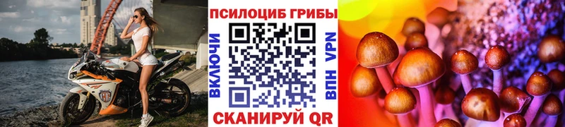 Псилоцибиновые грибы Magic Shrooms  Купить закладки  Владивосток 